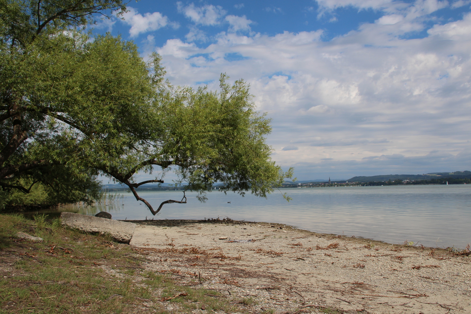 At lake of Constance