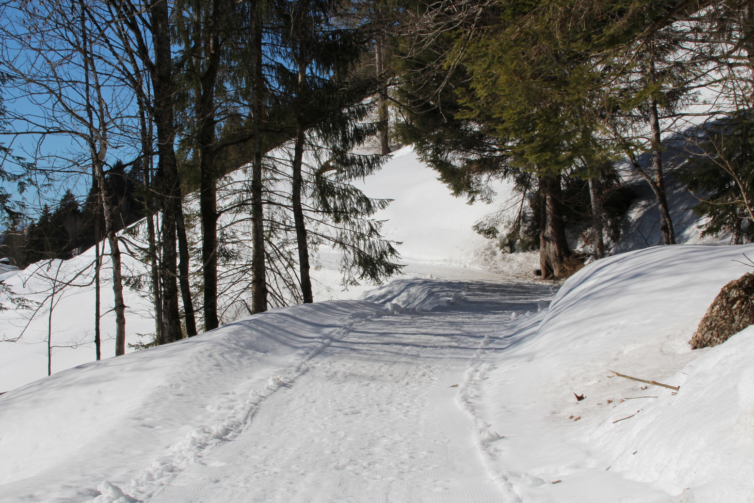 Walk Path covered with snow