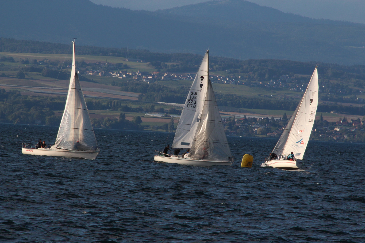 Sailing regatta at lake of Geneva in the harbour of Thonon-les-Bains with some Swiss villages in the background