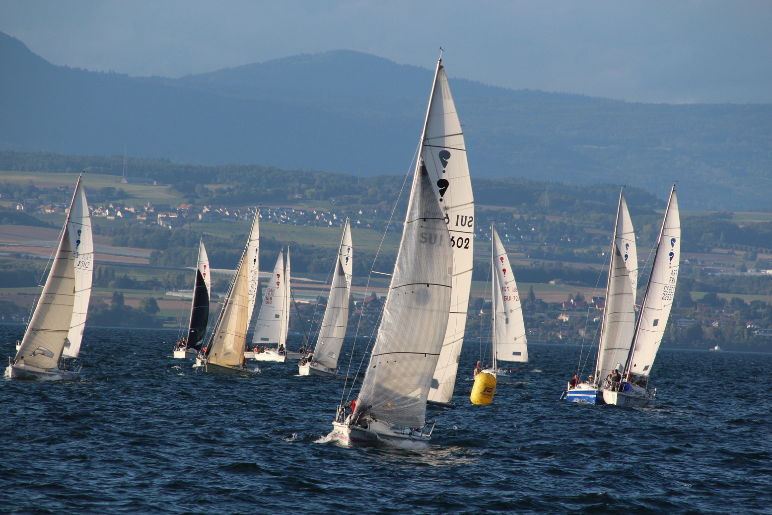 Sailing regatta at lake of Geneva in the harbour of Thonon-les-Bains with some Swiss villages in the background