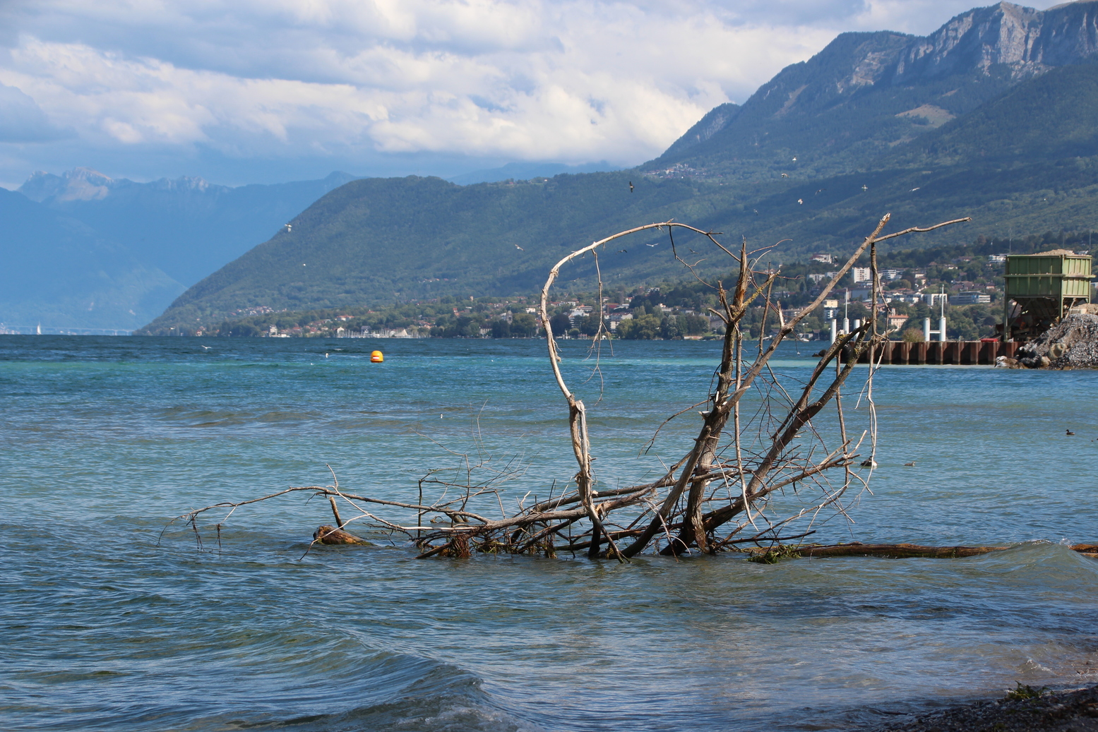 Lake of Geneva