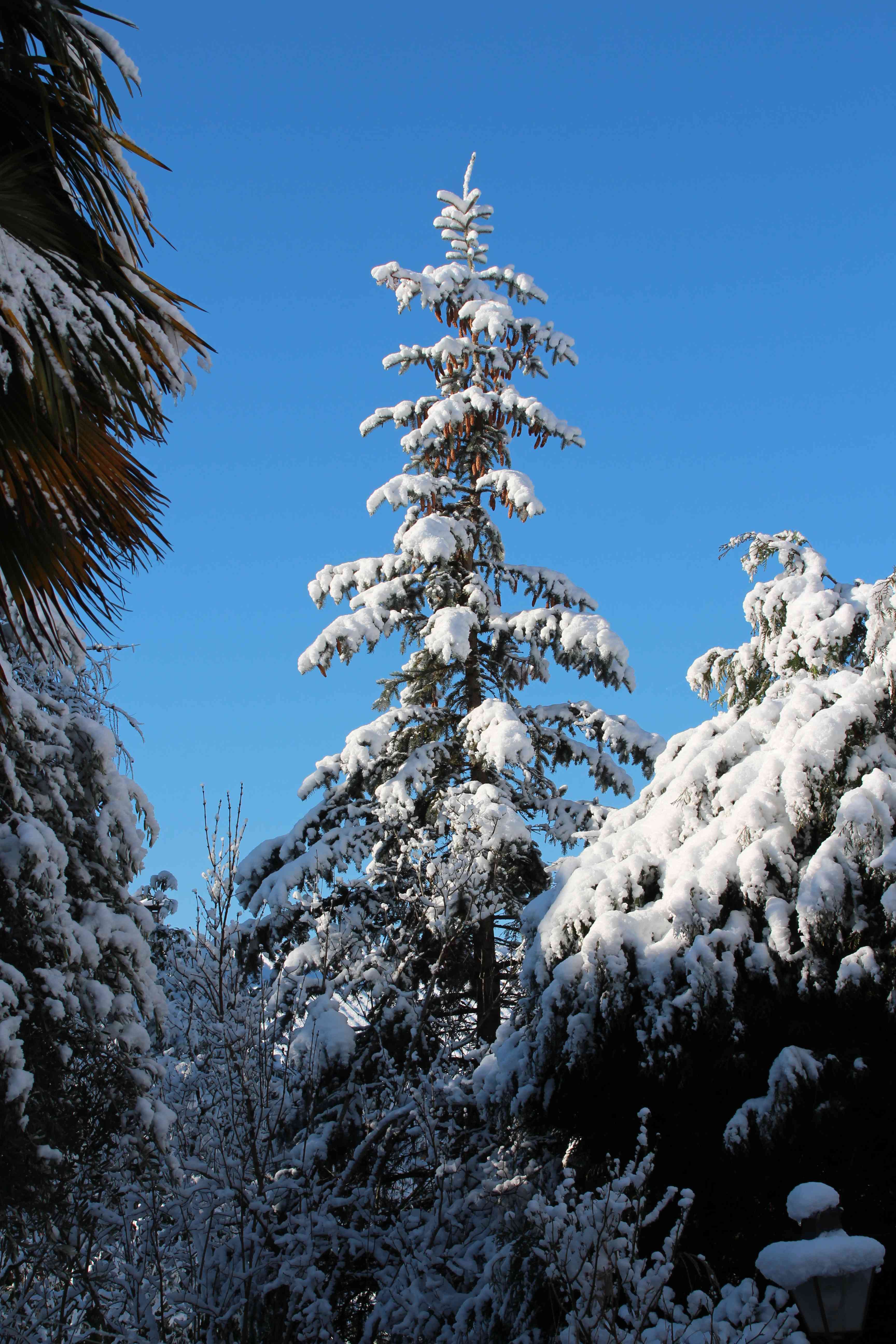 Winterstimmung