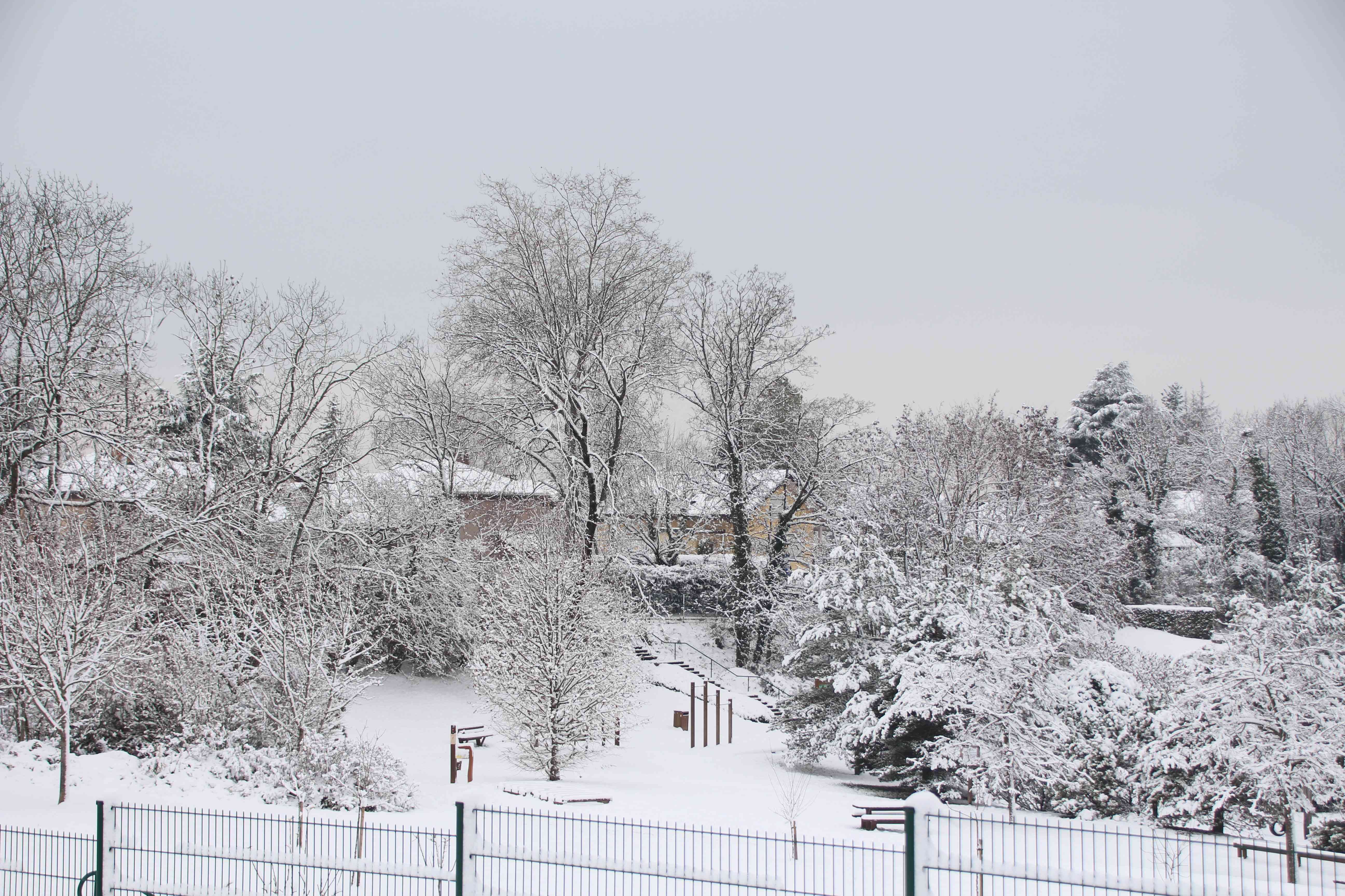 Winter