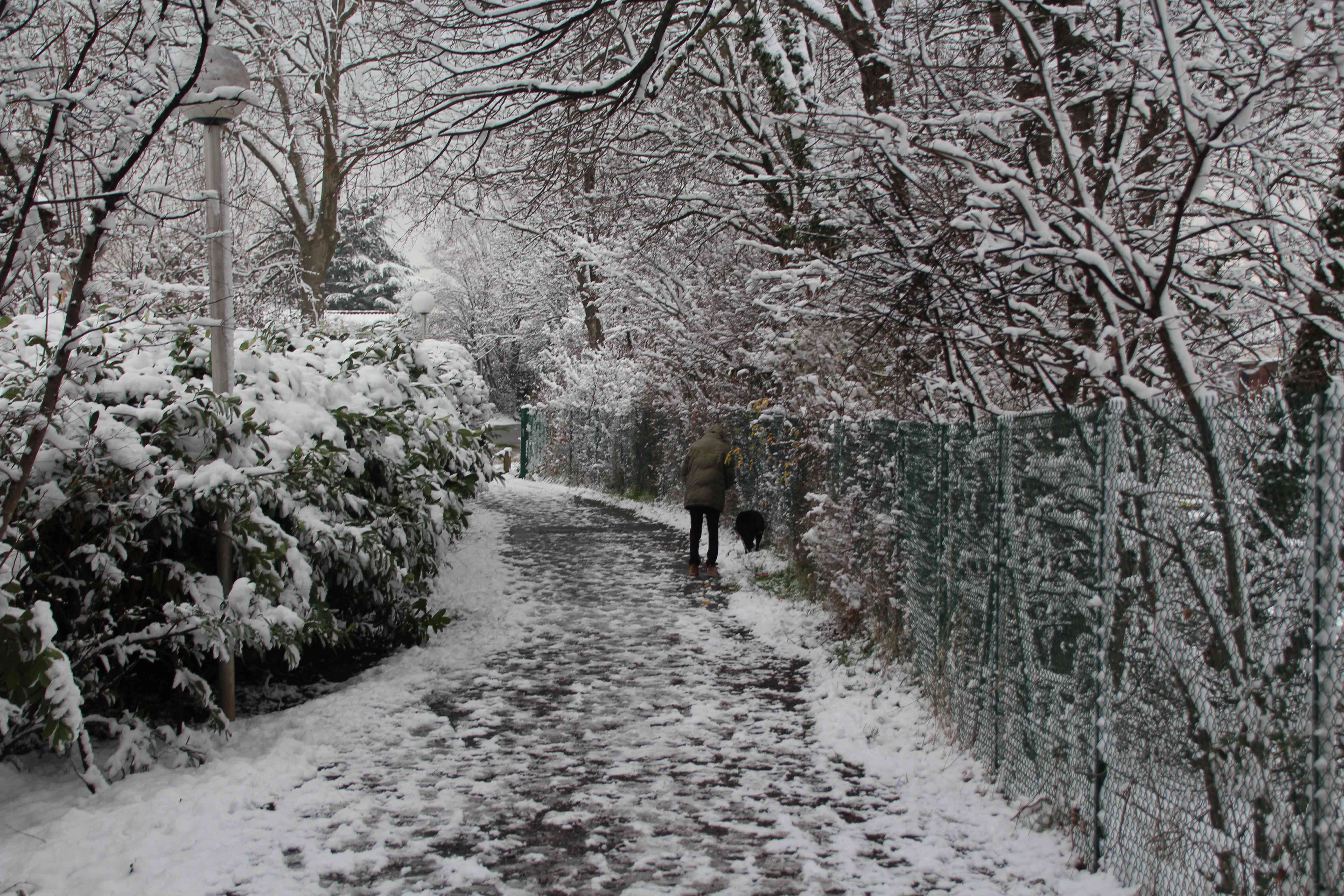 Winter