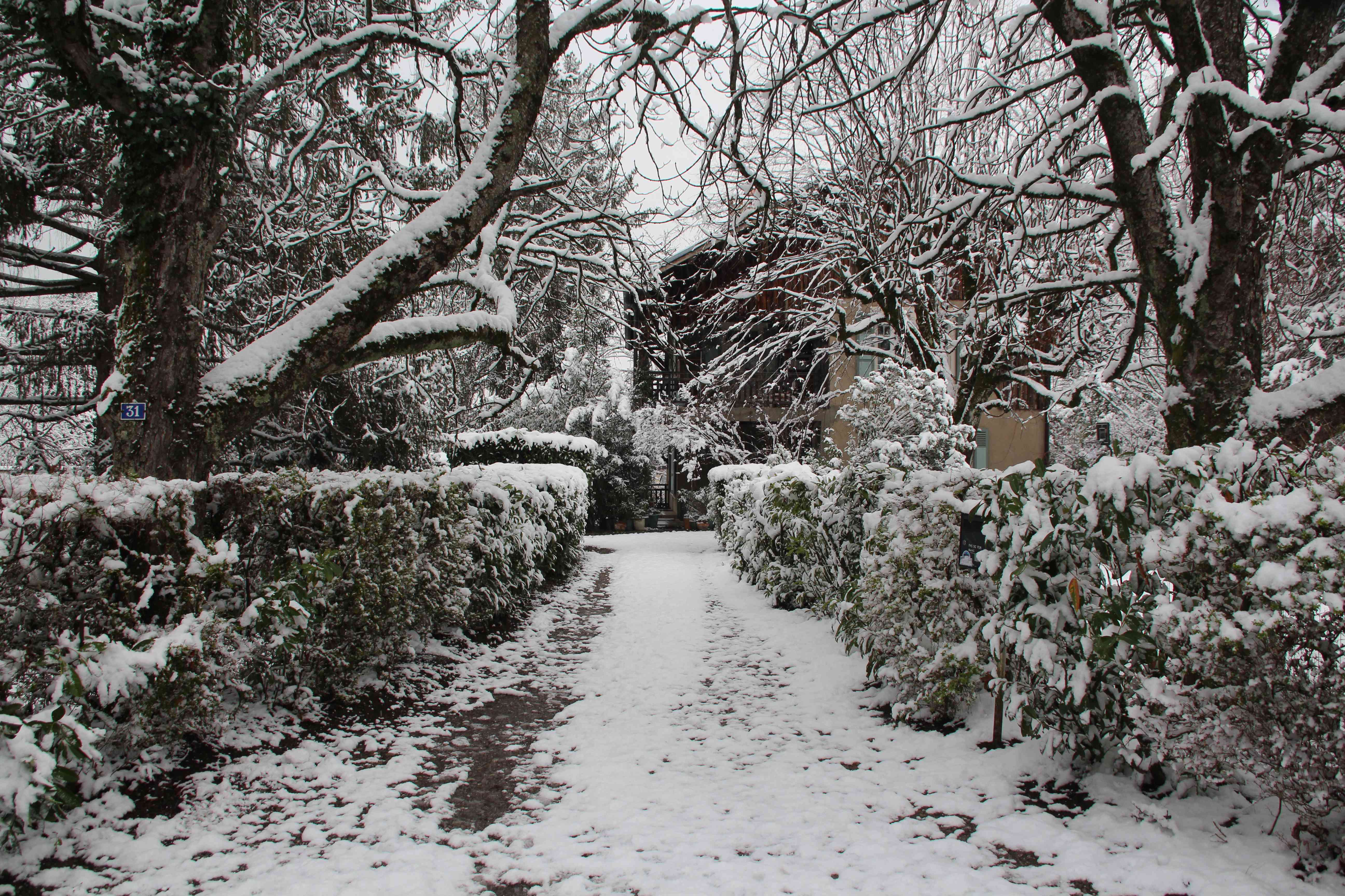 Winter