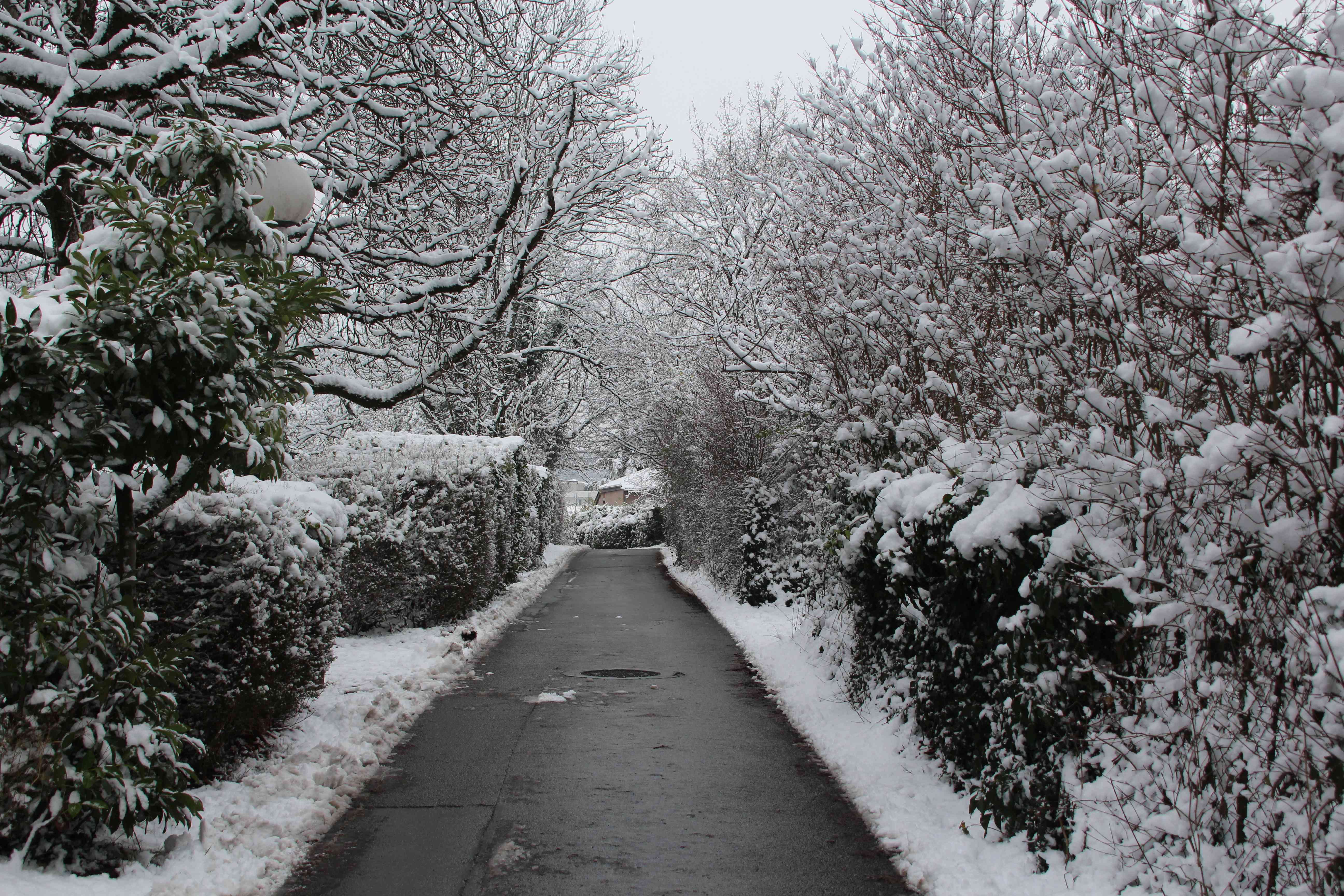 Winter